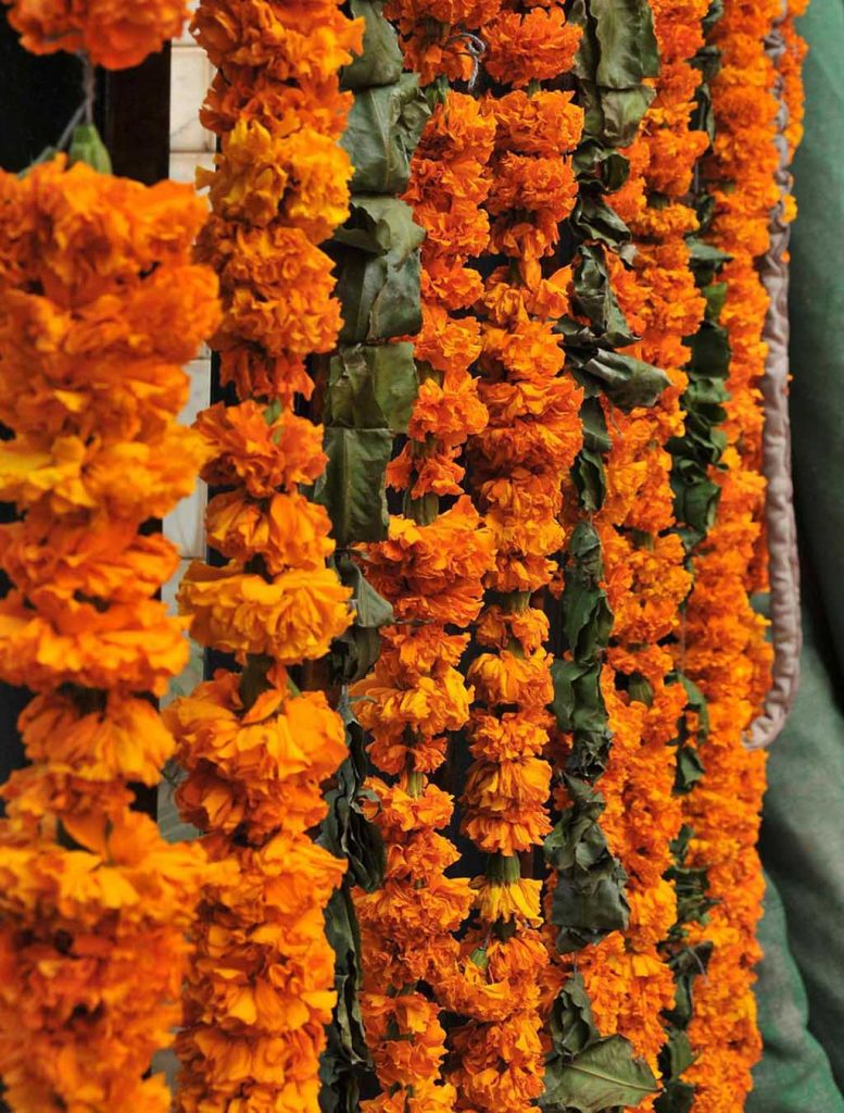 दार्जिलिंग जिले में फलता-फूलता फूलों का व्यापार, महिलाओं को फूलों की माला बना कर रोजी कमाने में मदद करता है|