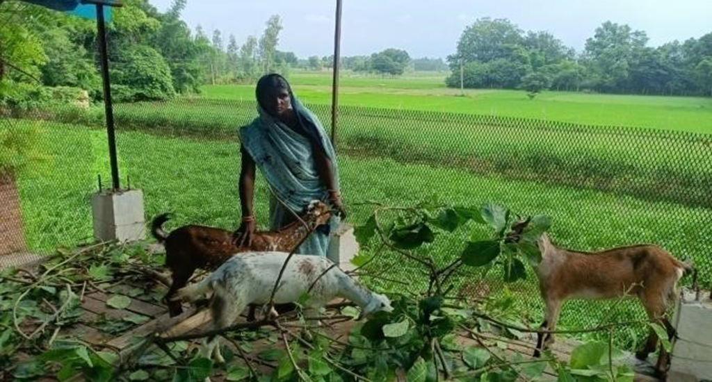 अयोध्या की महिलाओं के लिए, सूक्ष्म-उद्यमी होना सिर्फ पैसे के बारे में नहीं