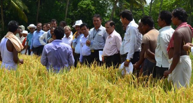 Technology for rural poor should be developed in consultation with the end users. (Photo by International Rice Research Institute)