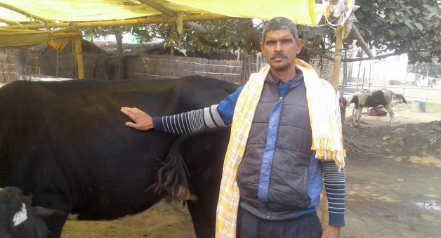 Cattle trade dwindles at Sonepur Mela