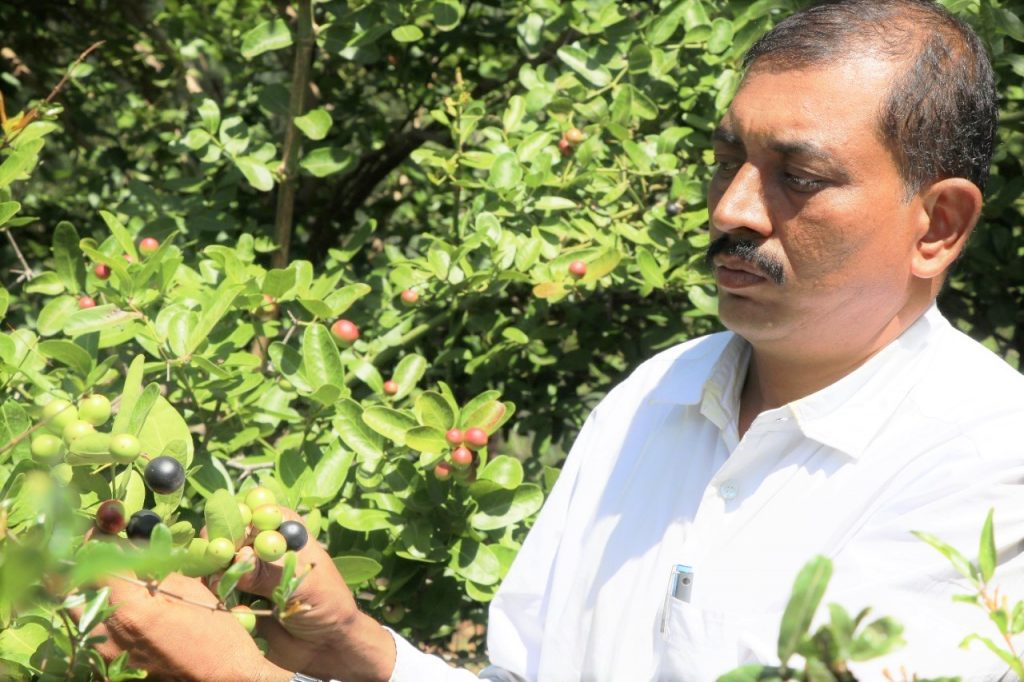 To grow healthy food, Venkatesan gave up his legal career and took to natural farming, his ancestral livelihood
