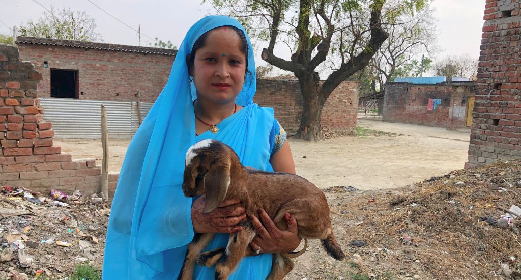 How women are taking care of livestock health in UP